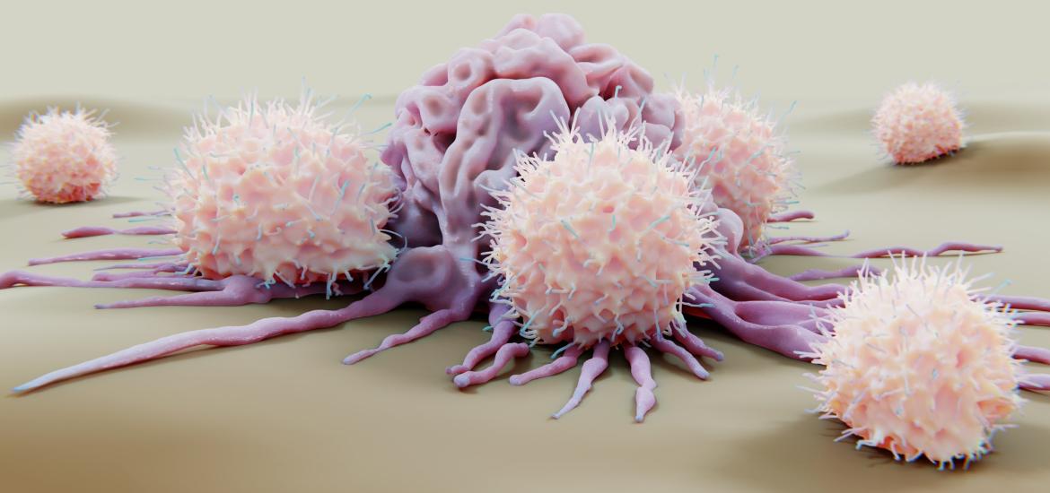 Natural killer cells attacking cancer cell