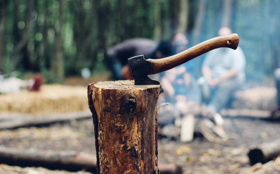 Axe in tree stump in woods