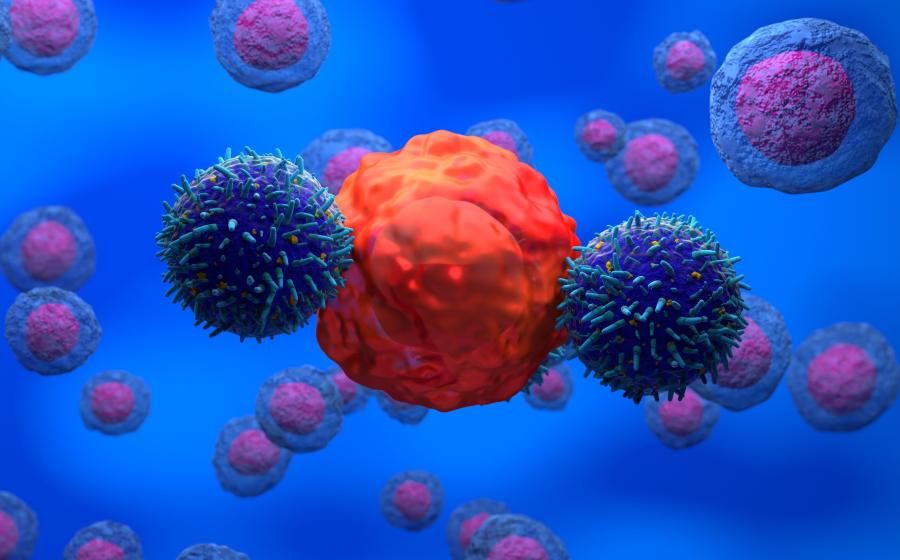 Car-T cells attacking cancer cell