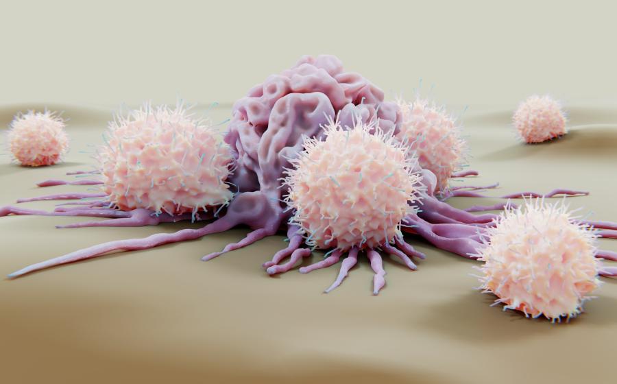 Natural killer cells attacking cancer cell