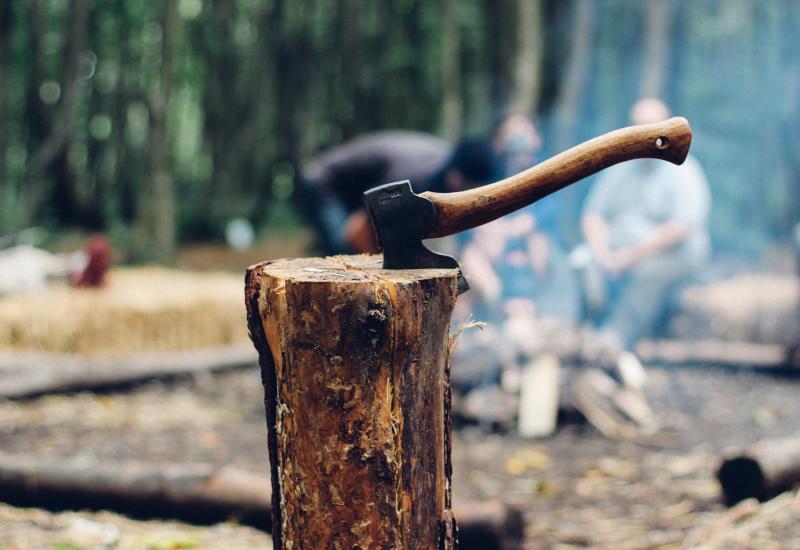 Axe in tree stump in woods