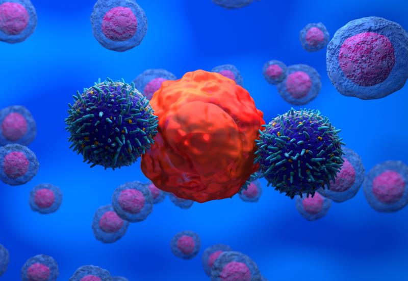 Car-T cells attacking cancer cell