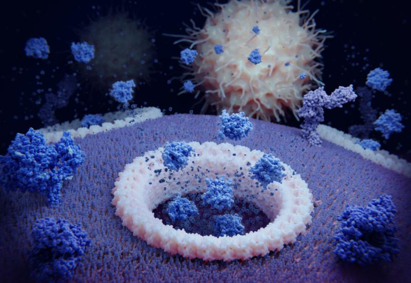 Cytokines