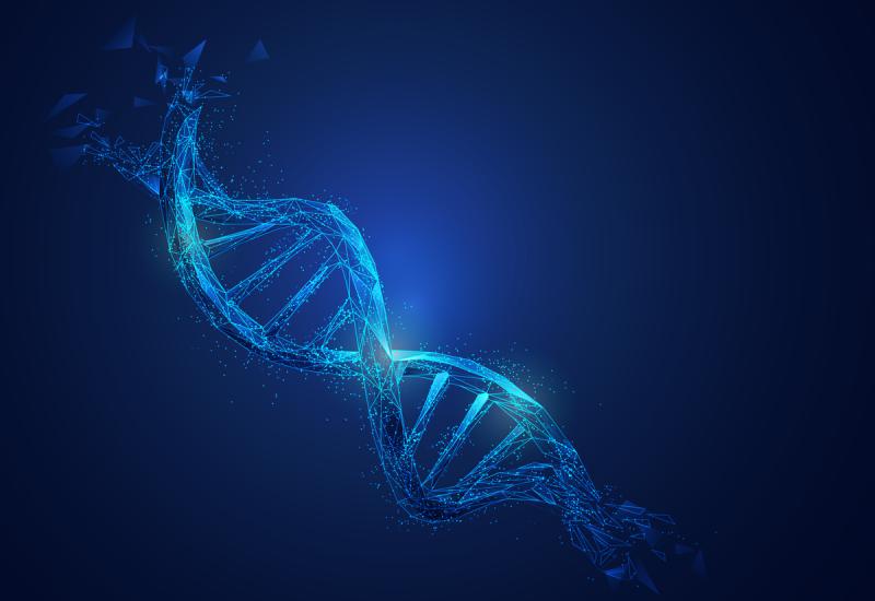 Blue double strand of DNA