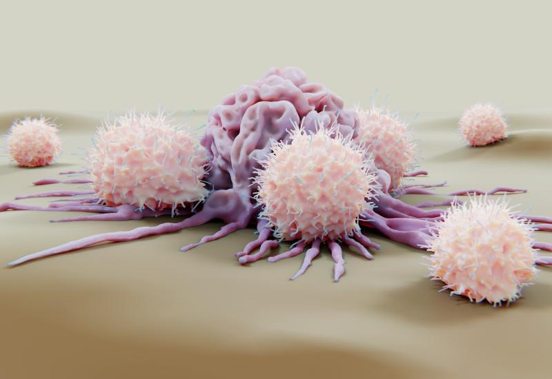 Natural killer cells attacking cancer cell