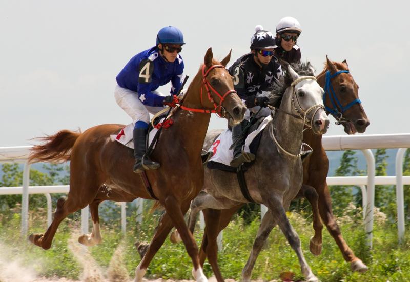 Three horses racing